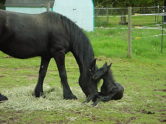 1dsc00450.jpg