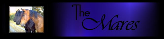 mares