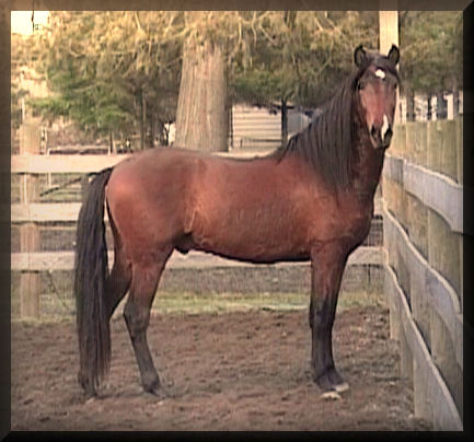 Monterorsidefacing221.jpg
