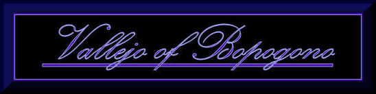 Vallejobanner2.jpg