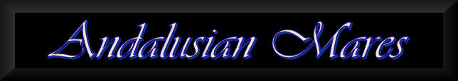 andalusianrmare.jpg
